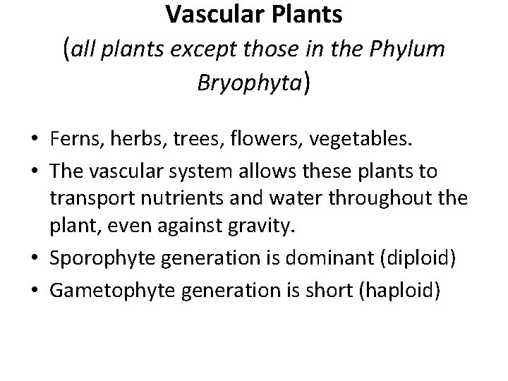 Vascular Plants (all plants except those in the Phylum Bryophyta) • Ferns, herbs, trees,