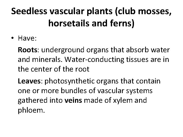 Seedless vascular plants (club mosses, horsetails and ferns) • Have: Roots: underground organs that