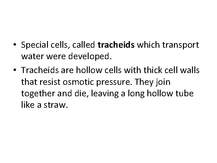  • Special cells, called tracheids which transport water were developed. • Tracheids are