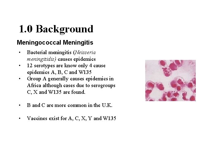 1. 0 Background Meningococcal Meningitis • • • Bacterial meningitis (Neisseria meningitidis) causes epidemics