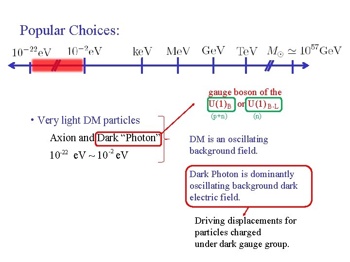 Popular Choices: gauge boson of the U(1) B or U(1) B-L • Very light