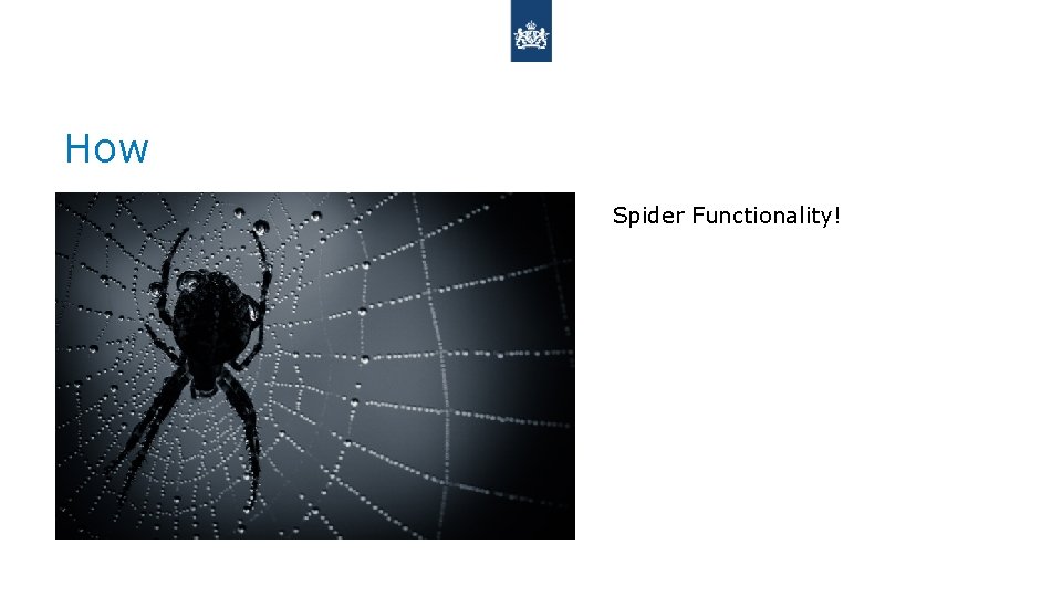 How Spider Functionality! 