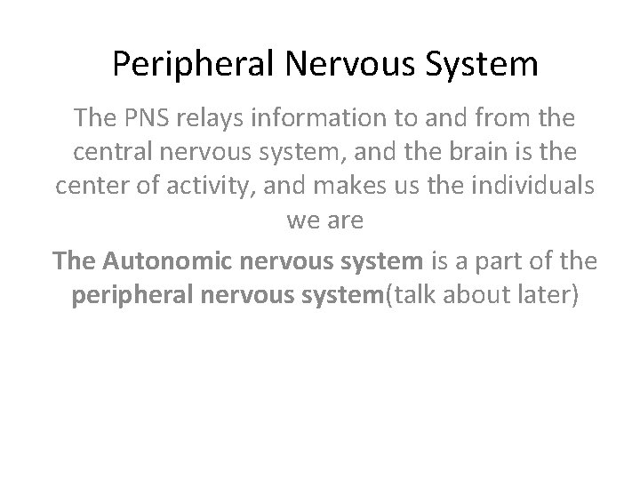 Peripheral Nervous System The PNS relays information to and from the central nervous system,