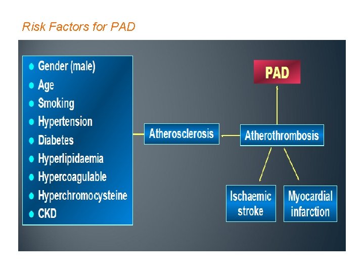 Risk Factors for PAD 
