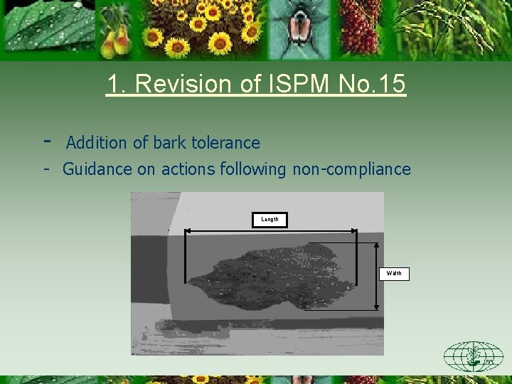 1. Revision of ISPM No. 15 - Addition of bark tolerance - Guidance on