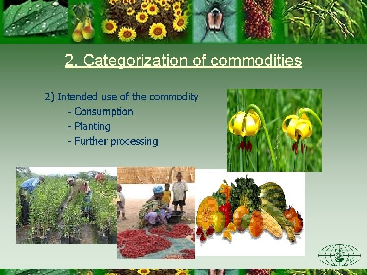 2. Categorization of commodities 2) Intended use of the commodity - Consumption - Planting