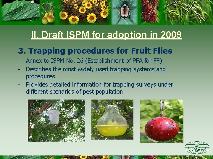 II. Draft ISPM for adoption in 2009 3. Trapping procedures for Fruit Flies -