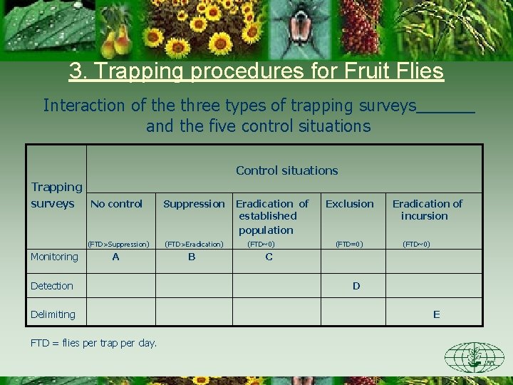 3. Trapping procedures for Fruit Flies Interaction of the three types of trapping surveys