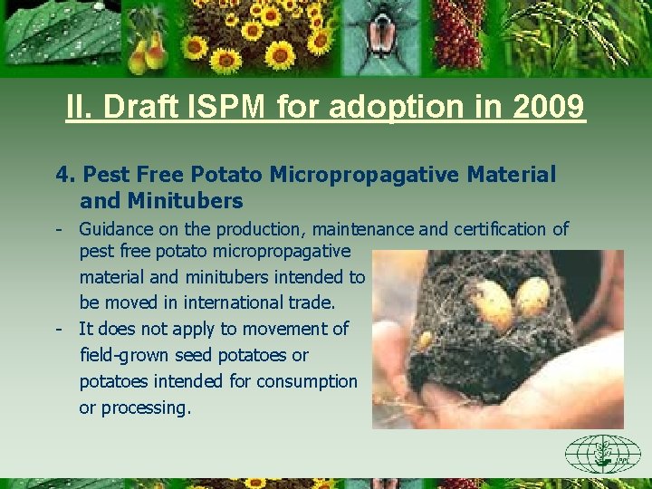 II. Draft ISPM for adoption in 2009 4. Pest Free Potato Micropropagative Material and