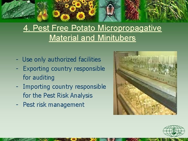 4. Pest Free Potato Micropropagative Material and Minitubers - Use only authorized facilities -