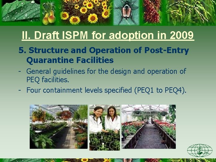 II. Draft ISPM for adoption in 2009 5. Structure and Operation of Post-Entry Quarantine