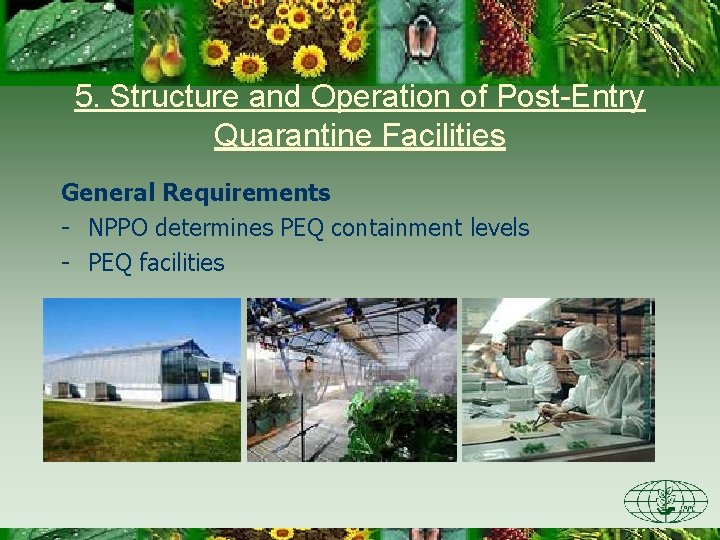 5. Structure and Operation of Post-Entry Quarantine Facilities General Requirements - NPPO determines PEQ