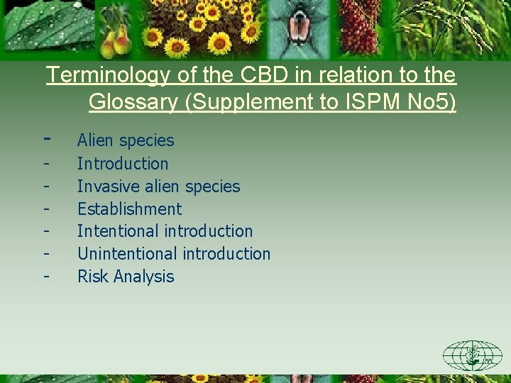 Terminology of the CBD in relation to the Glossary (Supplement to ISPM No 5)