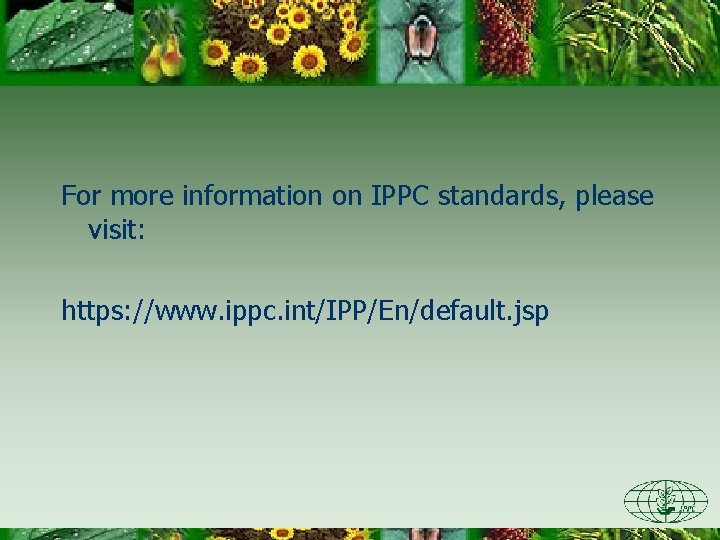 For more information on IPPC standards, please visit: https: //www. ippc. int/IPP/En/default. jsp 