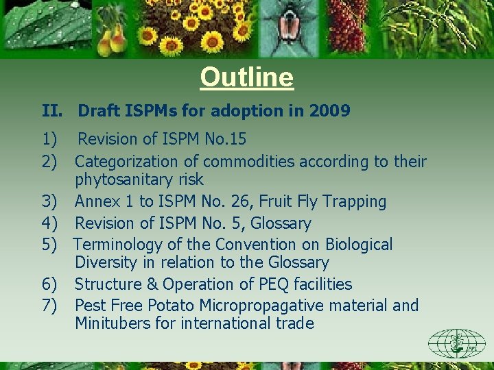 Outline II. Draft ISPMs for adoption in 2009 1) Revision of ISPM No. 15