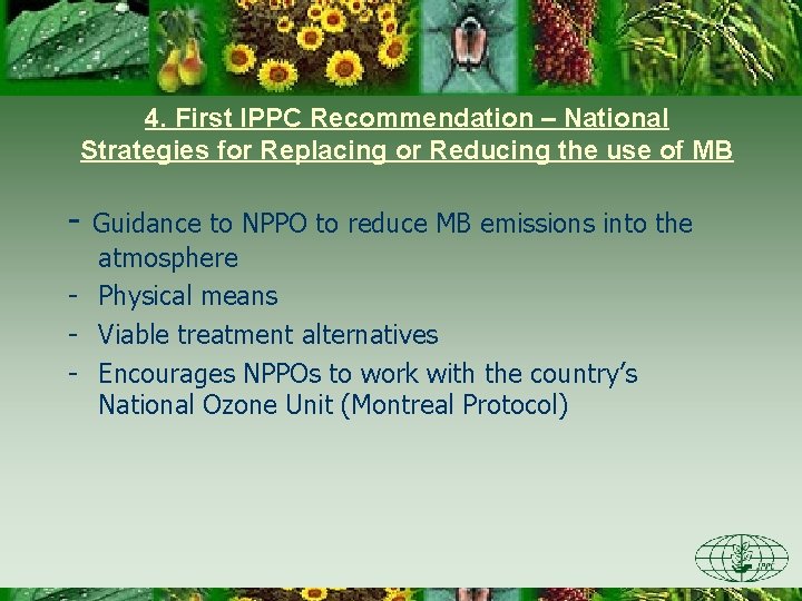 4. First IPPC Recommendation – National Strategies for Replacing or Reducing the use of