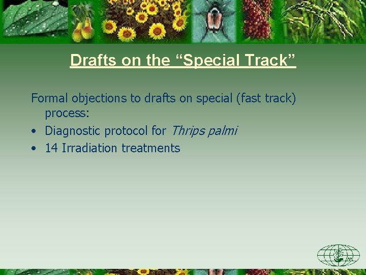 Drafts on the “Special Track” Formal objections to drafts on special (fast track) process: