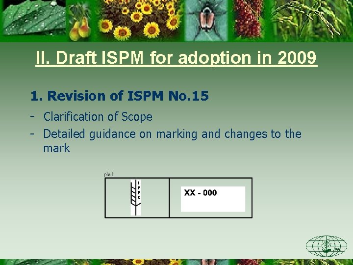 II. Draft ISPM for adoption in 2009 1. Revision of ISPM No. 15 -