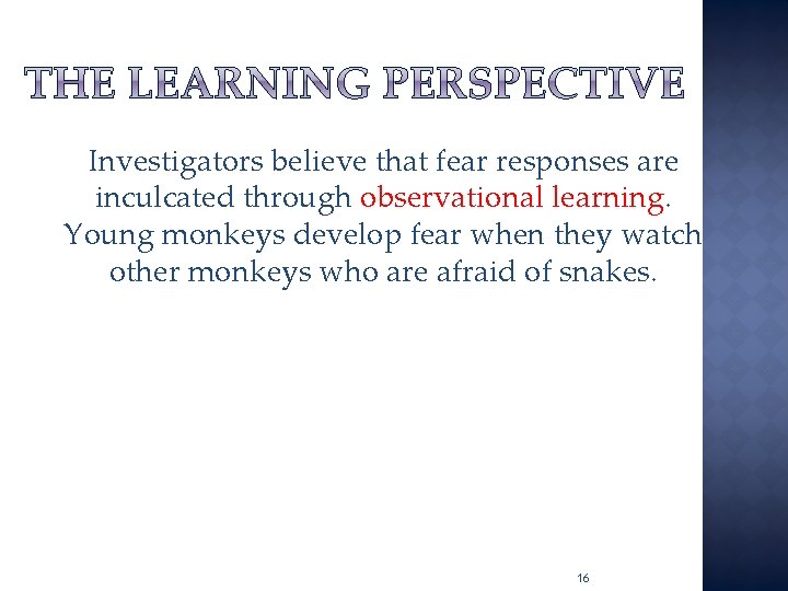 Investigators believe that fear responses are inculcated through observational learning. Young monkeys develop fear