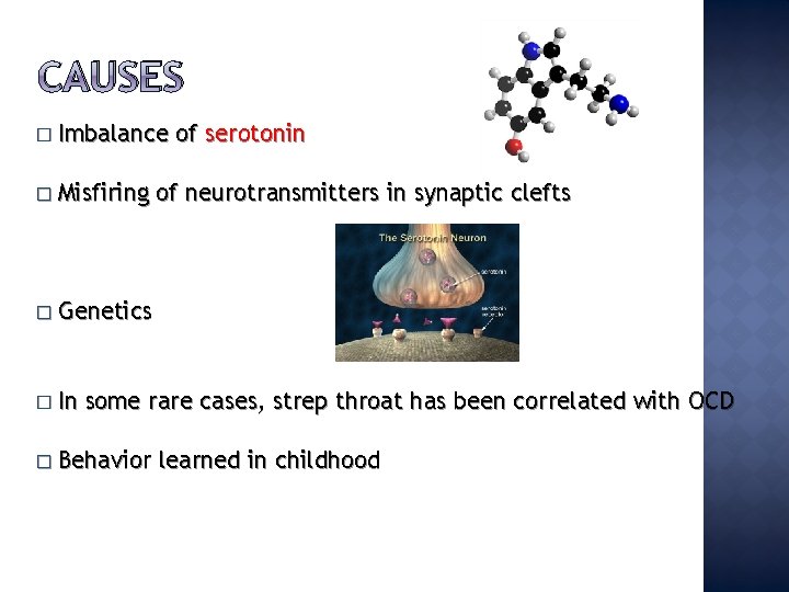 CAUSES � Imbalance � Misfiring of serotonin of neurotransmitters in synaptic clefts � Genetics