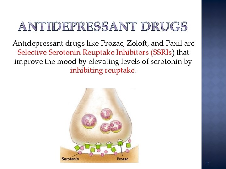 Antidepressant drugs like Prozac, Zoloft, and Paxil are Selective Serotonin Reuptake Inhibitors (SSRIs) that