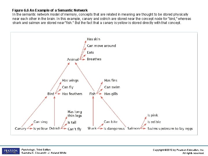 Figure 6. 6 An Example of a Semantic Network In the semantic network model