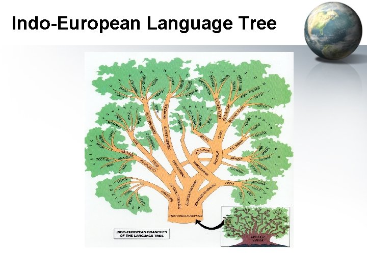 Indo-European Language Tree 
