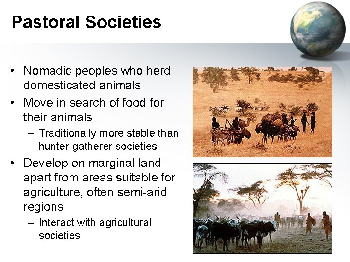 Pastoral Societies • Nomadic peoples who herd domesticated animals • Move in search of