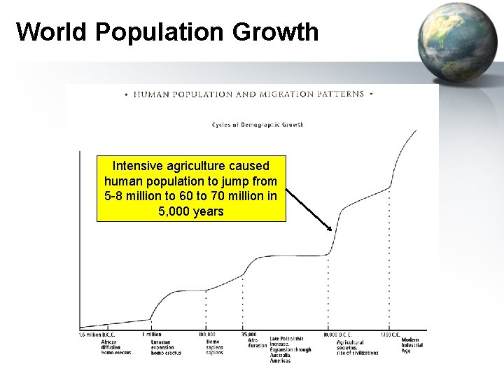 World Population Growth Intensive agriculture caused human population to jump from 5 -8 million