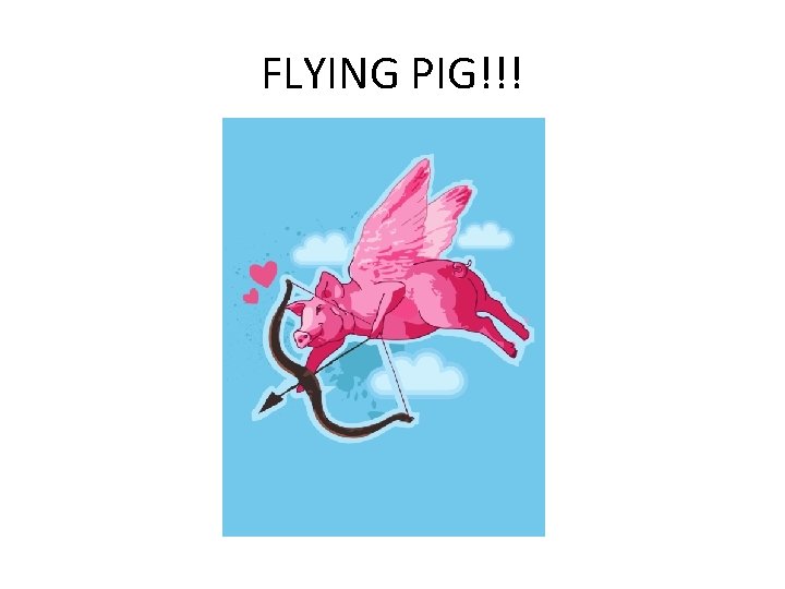 FLYING PIG!!! 