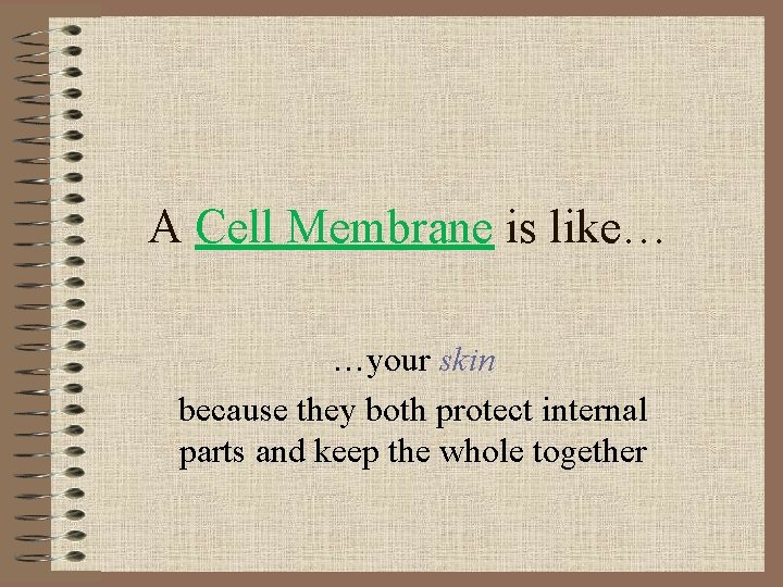 A Cell Membrane is like… …your skin because they both protect internal parts and