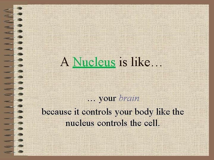 A Nucleus is like… … your brain because it controls your body like the