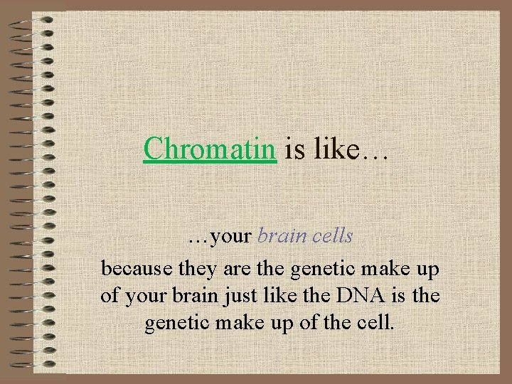 Chromatin is like… …your brain cells because they are the genetic make up of