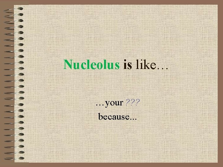 Nucleolus is like… …your ? ? ? because. . . 