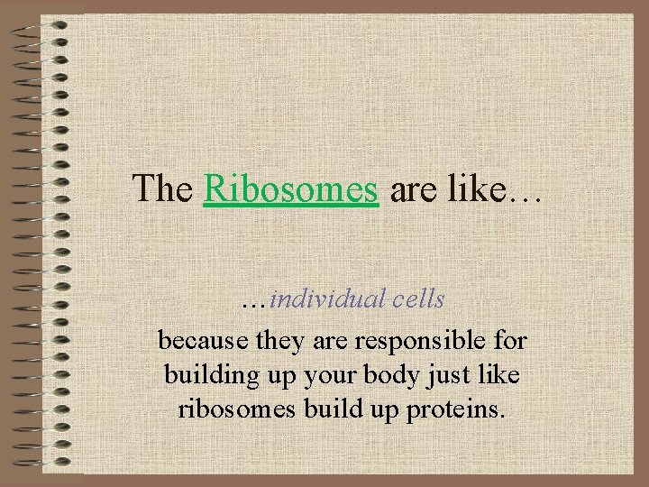 The Ribosomes are like… …individual cells because they are responsible for building up your