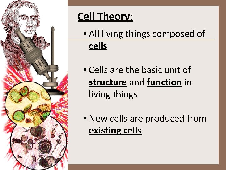 Cell Theory: • All living things composed of cells • Cells are the basic