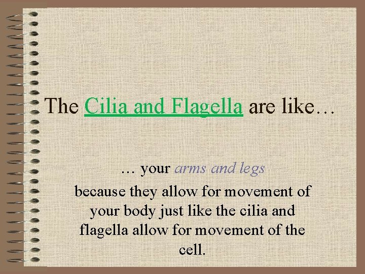 The Cilia and Flagella are like… … your arms and legs because they allow