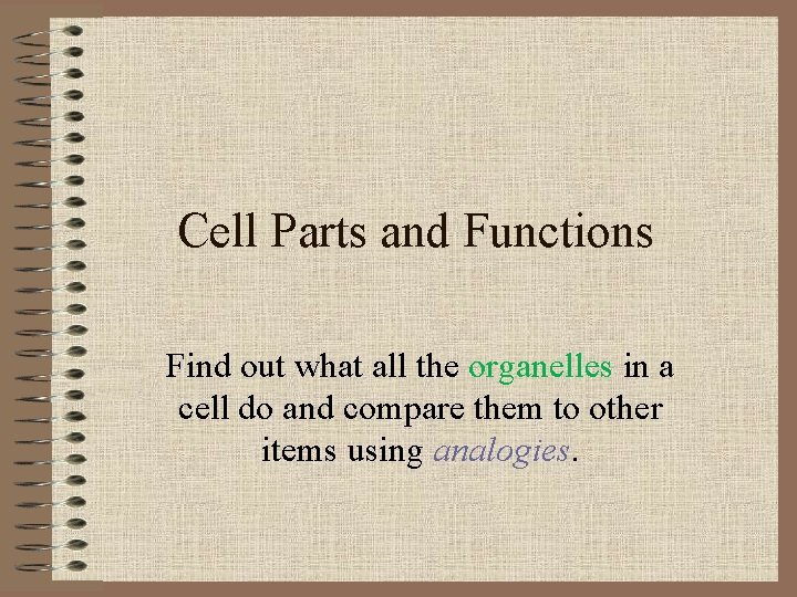 Cell Parts and Functions Find out what all the organelles in a cell do