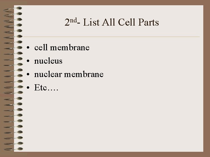 2 nd- List All Cell Parts • • cell membrane nucleus nuclear membrane Etc….