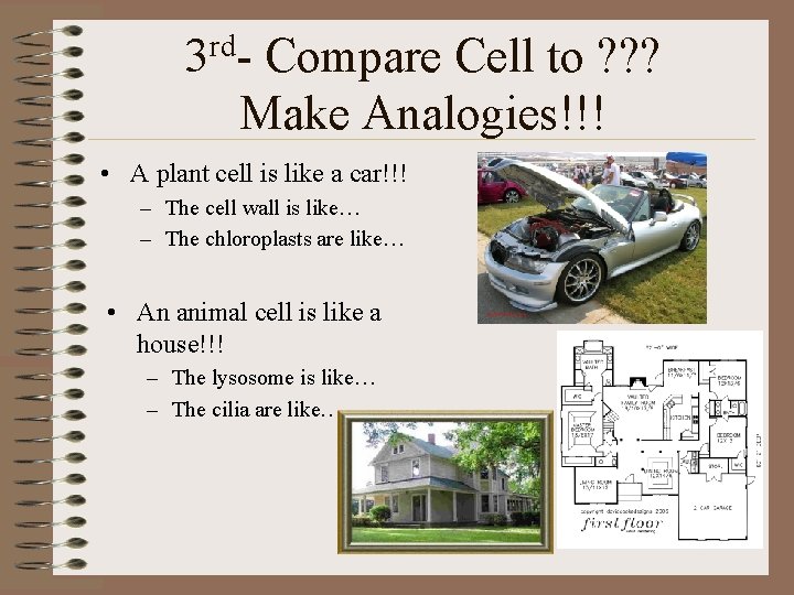 rd 3 - Compare Cell to ? ? ? Make Analogies!!! • A plant