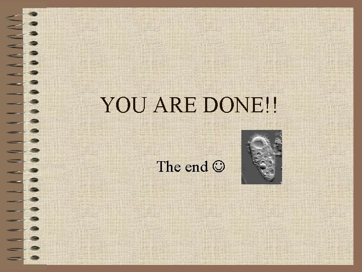 YOU ARE DONE!! The end 