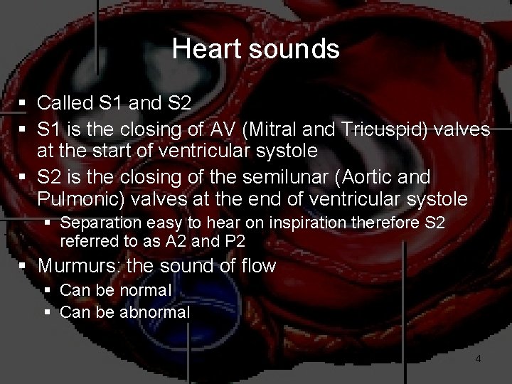 Heart sounds § Called S 1 and S 2 § S 1 is the