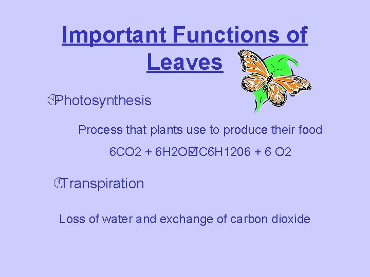 Important Functions of Leaves ÀPhotosynthesis Process that plants use to produce their food 6