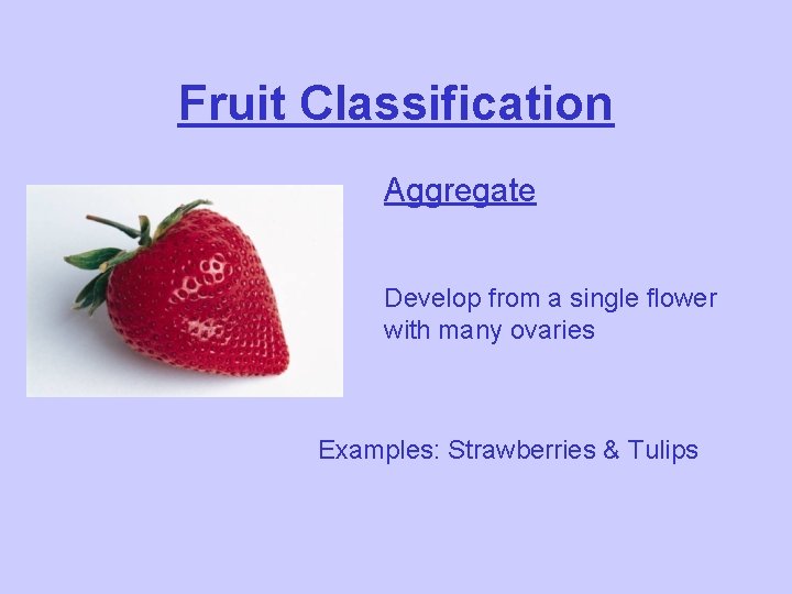 Fruit Classification Aggregate Develop from a single flower with many ovaries Examples: Strawberries &