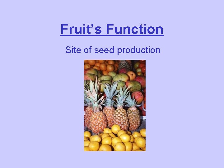 Fruit’s Function Site of seed production 