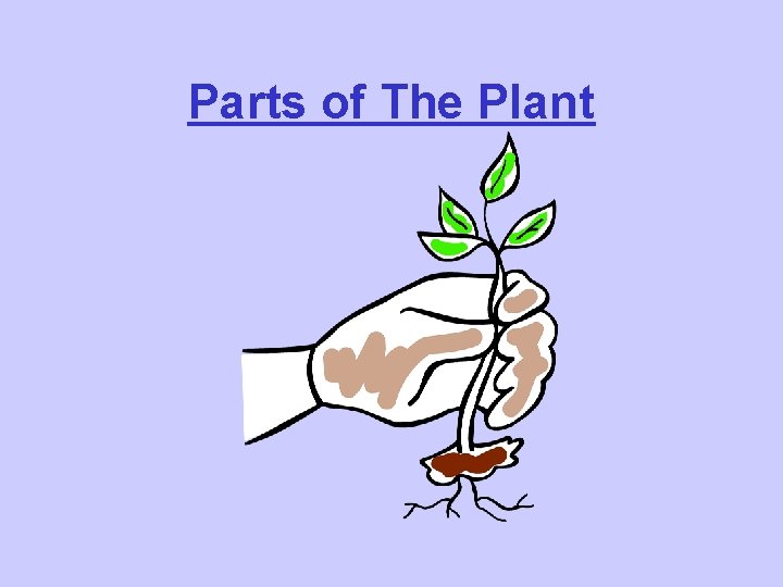 Parts of The Plant 