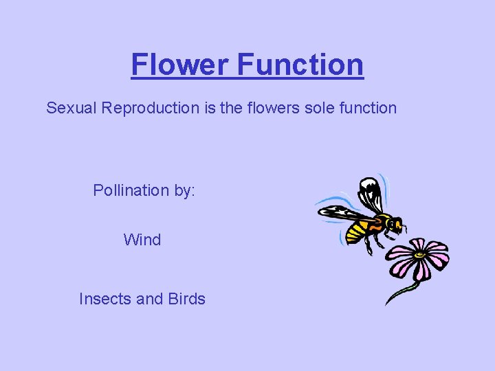 Flower Function Sexual Reproduction is the flowers sole function Pollination by: Wind Insects and