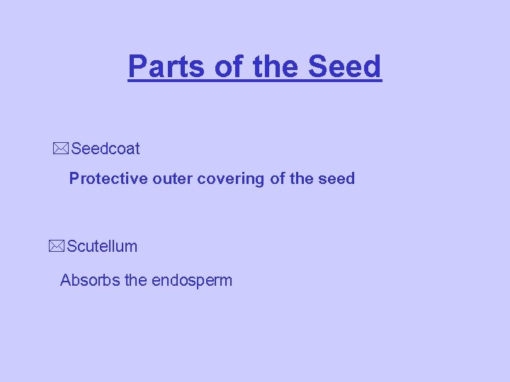 Parts of the Seed *Seedcoat Protective outer covering of the seed *Scutellum Absorbs the