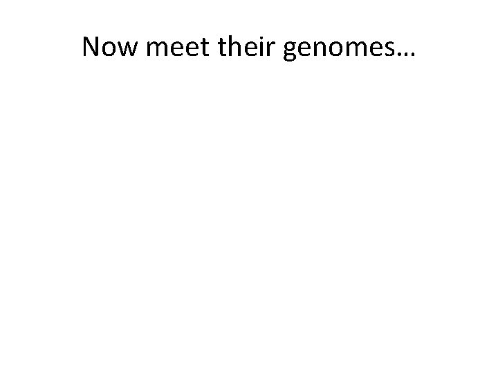 Now meet their genomes… 