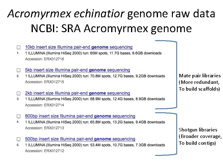 Acromyrmex echinatior genome raw data NCBI: SRA Acromyrmex genome Mate pair libraries (More redundant,